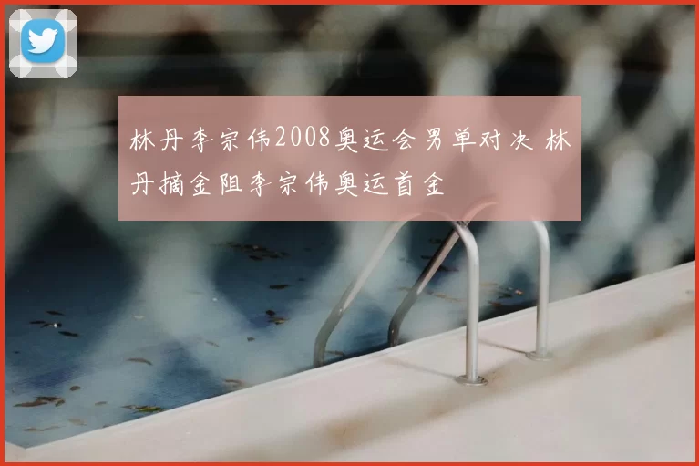 林丹李宗伟2008奥运会男单对决 林丹摘金阻李宗伟奥运首金