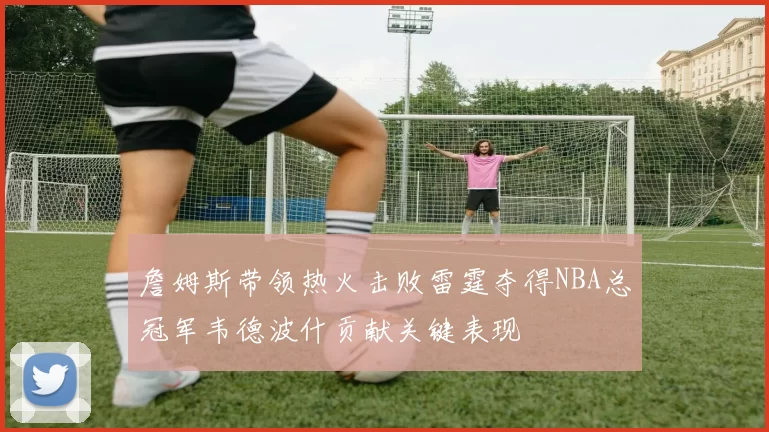 詹姆斯带领热火击败雷霆夺得NBA总冠军韦德波什贡献关键表现